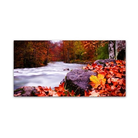 Dan Ballard 'Autumn Flow' Canvas Art,16x32